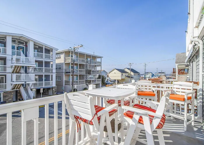 Cinnamon Teal 4 * Ocean City